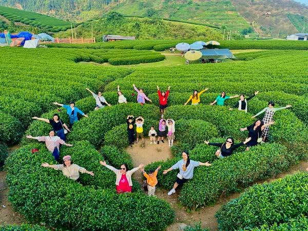 Top 5 Đặc Sản Nổi Tiếng Tại Mộc Châu