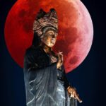 648683542 1739747307448911 7217335617413445681 n